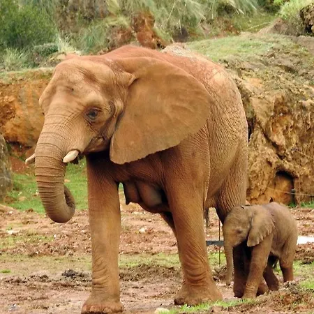 公寓 Familiar Close To Cabarceno La Cueva (Cantabria)