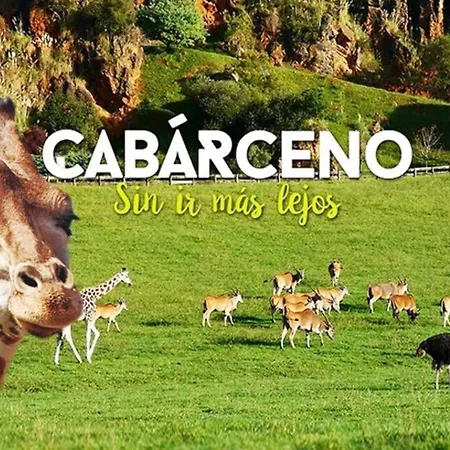 Familiar Close To Cabarceno *