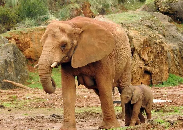 דירה Familiar Close To Cabarceno La Cueva (Cantabria)